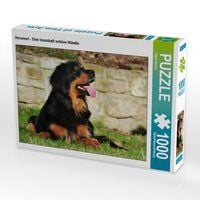 Produktbild: CALVENDO Puzzle Hovawart - Eine traumhaft sch&ouml;ne H&uuml;ndin 1000 Teile Lege-Gr&ouml;&szlig;e 64 x 48 cm Foto-Puzzle Bild von Sigrid Starick
