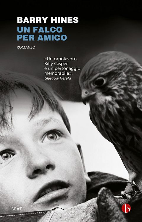 Produktbild: Un falco per amico