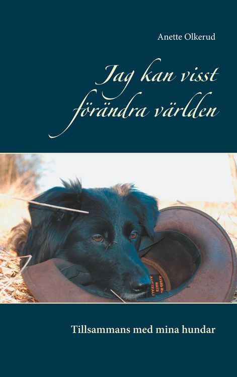 Produktbild: Jag kan visst f&ouml;r&auml;ndra v&auml;rlden