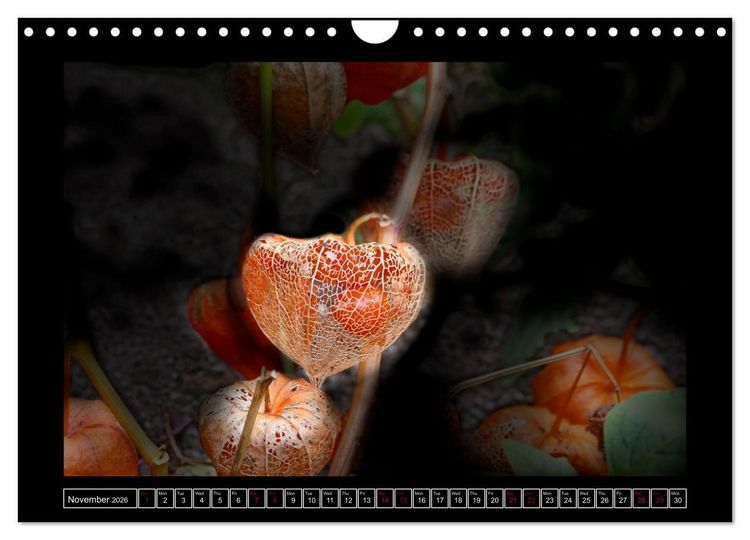 Produktbild: Mysterious plant portraits (Wall Calendar 2026 DIN A4 landscape), CALVENDO 12 Month Wall Calendar