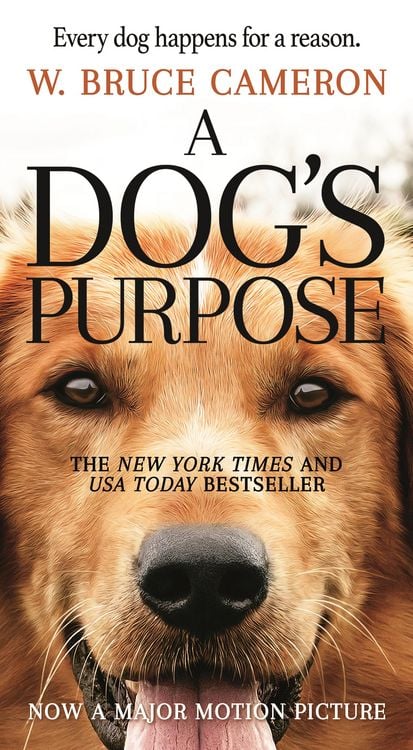 Produktbild: A Dog's Purpose
