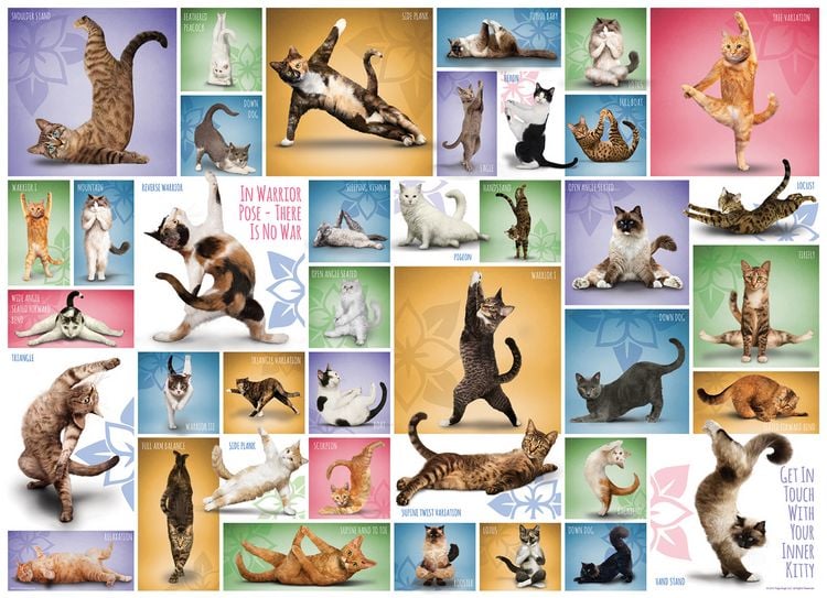 Produktbild: Yoga Cats (Puzzle)