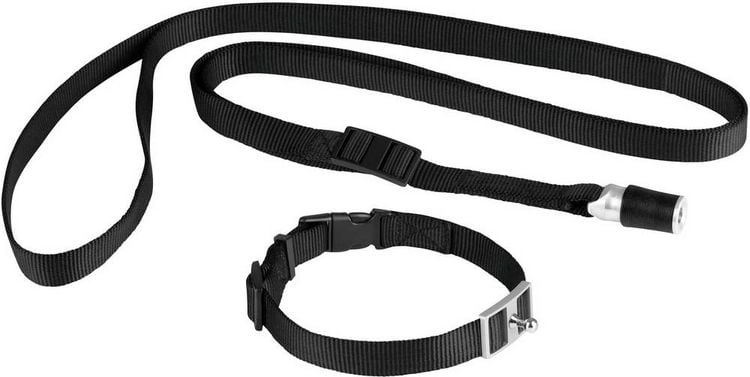 Produktbild: GoLeyGo Hundeleine & Halsband L schwarz