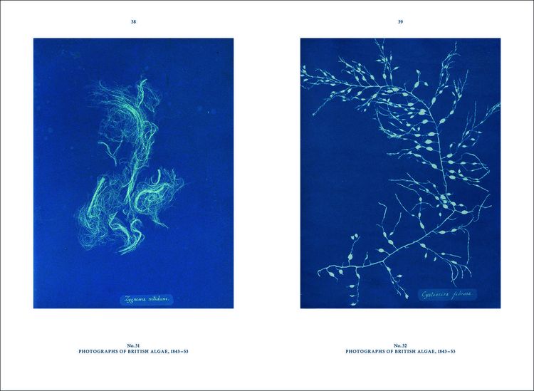 Produktbild: Anna Atkins
