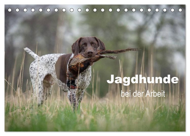 Produktbild: Jagdhunde bei der Arbeit (Tischkalender 2026 DIN A5 quer), CALVENDO Monatskalender