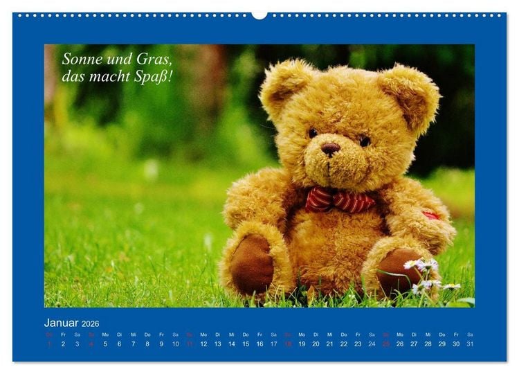 Produktbild: Sommer im Teddy-Land. B&auml;r und Freunde (Wandkalender 2026 DIN A2 quer), CALVENDO Monatskalender