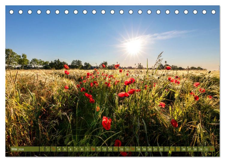Produktbild: Moin Moormerland (Tischkalender 2026 DIN A5 quer), CALVENDO Monatskalender
