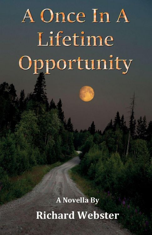 Produktbild: A Once In A Lifetime Opportunity