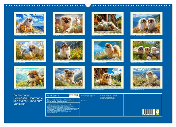 Produktbild: Zauberhafte Pekinesen. Charmante und stolze Hunde zum Verlieben (Wandkalender 2026 DIN A2 quer), CALVENDO Monatskalender