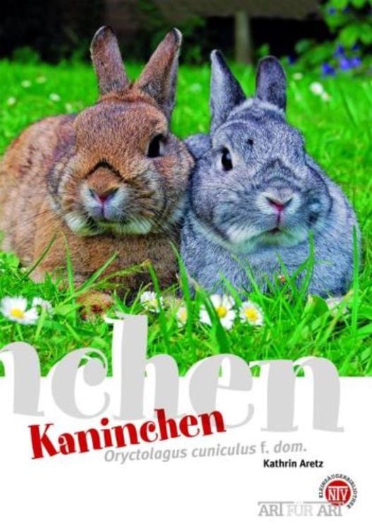 Produktbild: Kaninchen