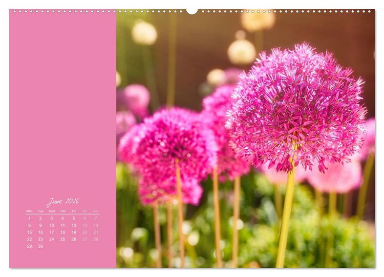 Produktbild: Vibrancy of flowers (High Quality Premium Wall Calendar 2026 DIN A2 landscape),CALVENDO 12 Month Wall Calendar