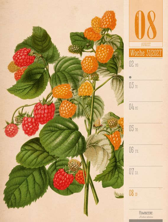 Produktbild: Culinarium Wochenplaner Kalender 2027 | K&uuml;che, Kr&auml;uter, Kurioses