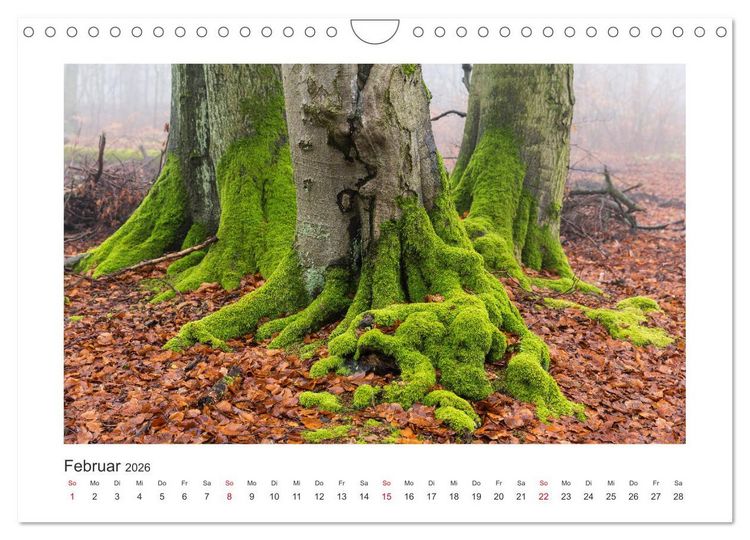 Produktbild: Kasseler Landschaften (Wandkalender 2026 DIN A4 quer), CALVENDO Monatskalender