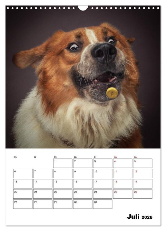 Produktbild: Fang das Leckerli (Wandkalender 2026 DIN A3 hoch), CALVENDO Monatskalender