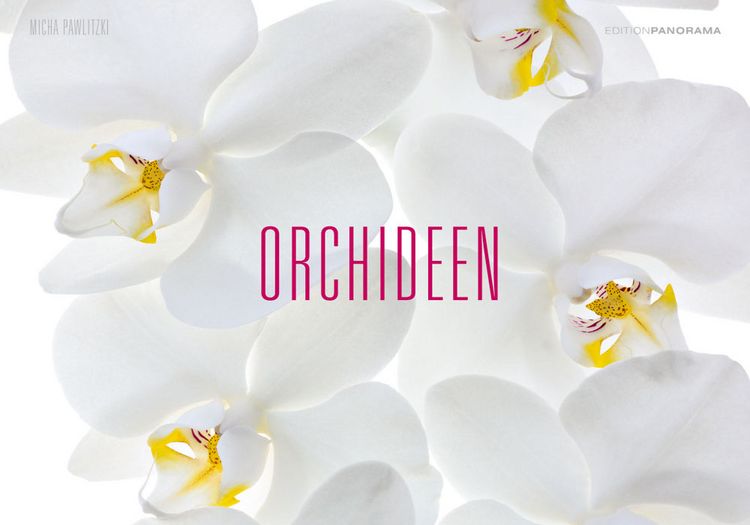 Produktbild: Pawlitzki, M: Orchideen/immerw&auml;hrend