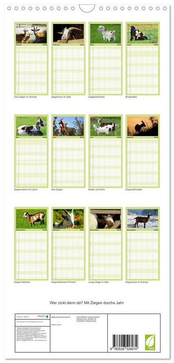 Produktbild: Familienplaner 2026 - Wer zickt denn da? Mit Ziegen durchs Jahr mit 5 Spalten (Wandkalender, 21 x 45 cm) CALVENDO