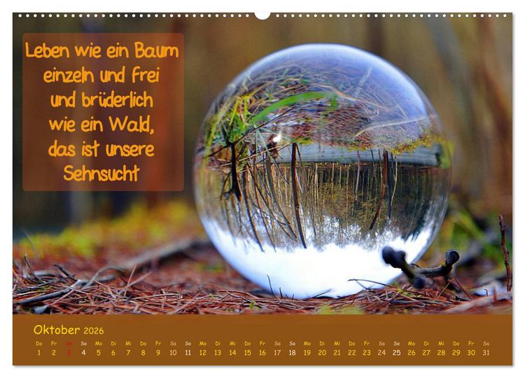 Produktbild: Wunderbare Waldkugeln (hochwertiger Premium Wandkalender 2026 DIN A2 quer), Kunstdruck in Hochglanz