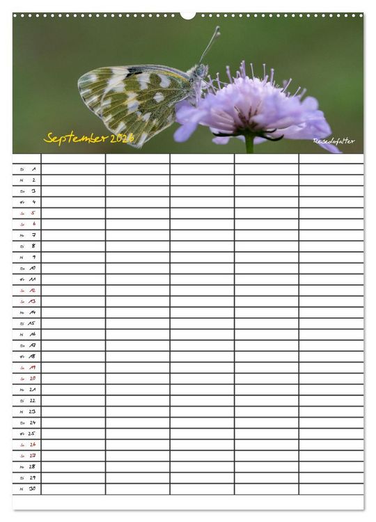 Produktbild: Schmetterlinge in Bayern (Wandkalender 2026 DIN A2 hoch), CALVENDO Monatskalender