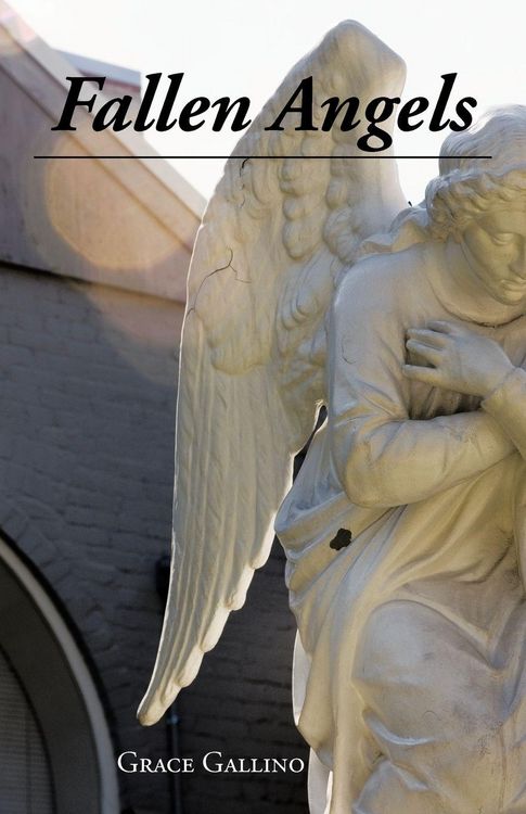 Produktbild: Fallen Angels