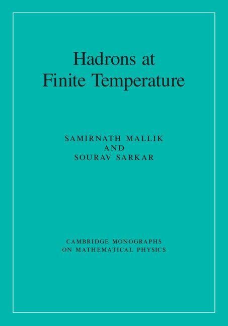 Produktbild: Hadrons at Finite Temperature