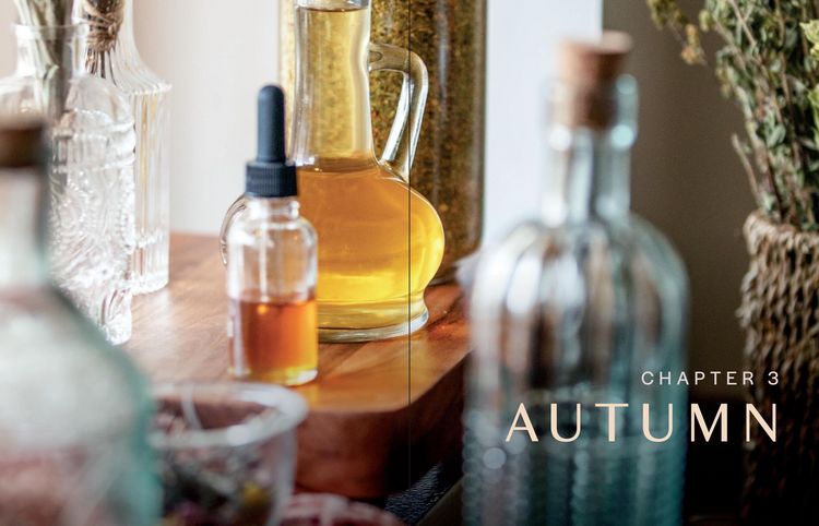 Produktbild: Herbs in Every Season