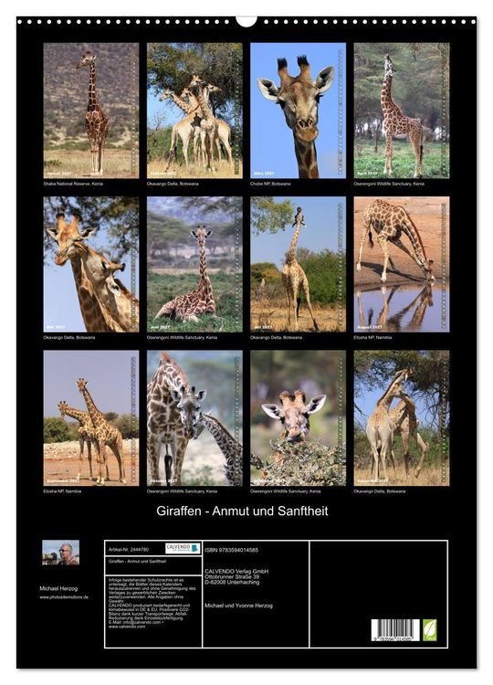 Produktbild: Giraffen - Anmut und Sanftheit (Wandkalender 2027 DIN A2 hoch), CALVENDO Monatskalender