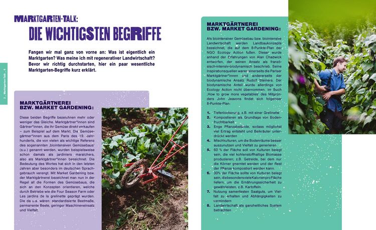 Produktbild: Kleine Fl&auml;che, gro&szlig;e Ernte