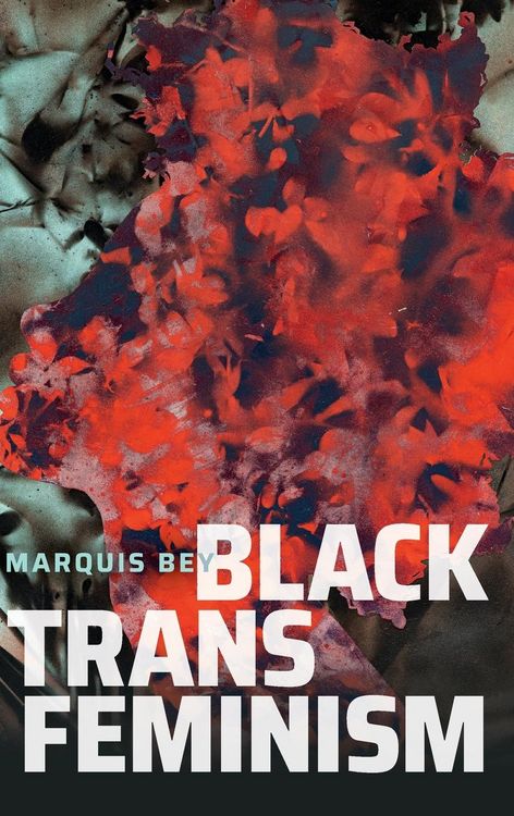 Produktbild: Black Trans Feminism
