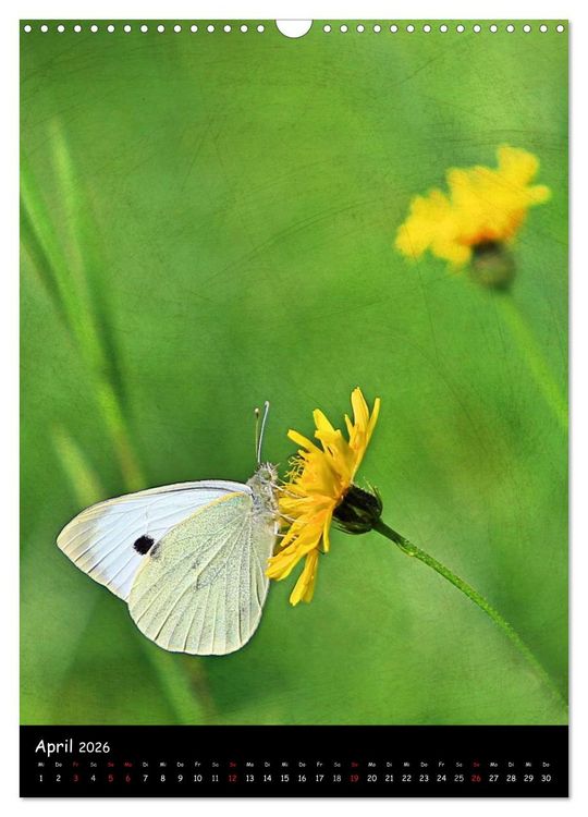 Produktbild: NATUR PUR Bl&uuml;tentr&auml;ume (Wandkalender 2026 DIN A3 hoch), CALVENDO Monatskalender