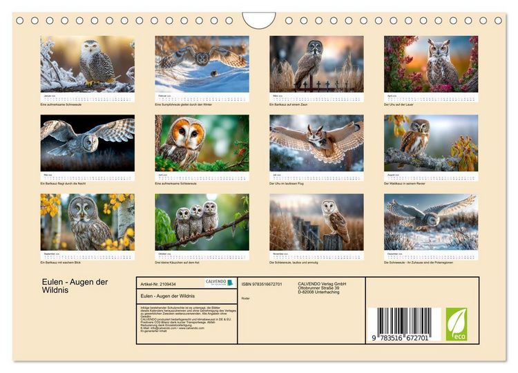 Produktbild: Eulen - Augen der Wildnis (Wandkalender 2026 DIN A4 quer), CALVENDO Monatskalender