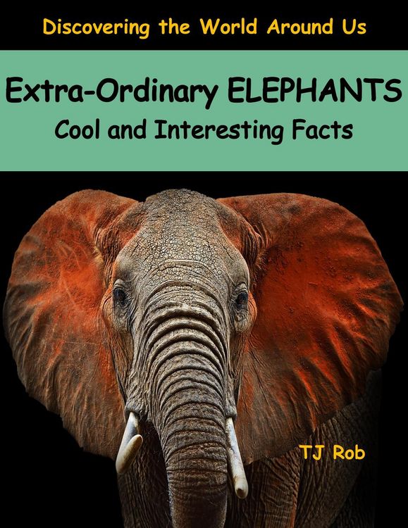 Produktbild: Extra-Ordinary Elephants (Discovering The World Around Us)