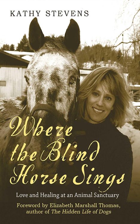 Produktbild: Where the Blind Horse Sings