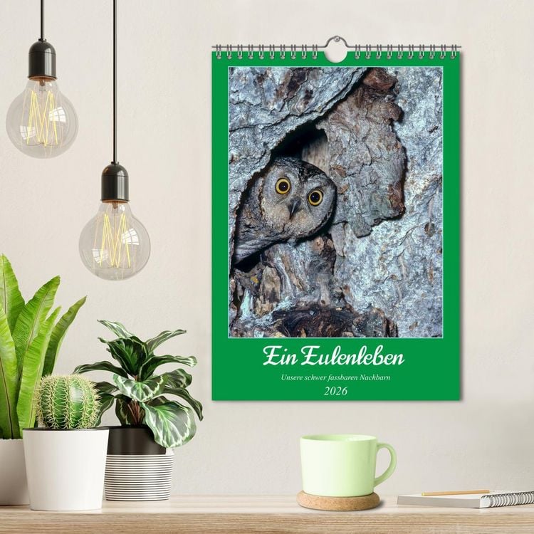 Produktbild: Ein Eulenleben, Unsere schwer fassbaren Nachbarn (Wandkalender 2026 DIN A4 hoch), CALVENDO Monatskalender
