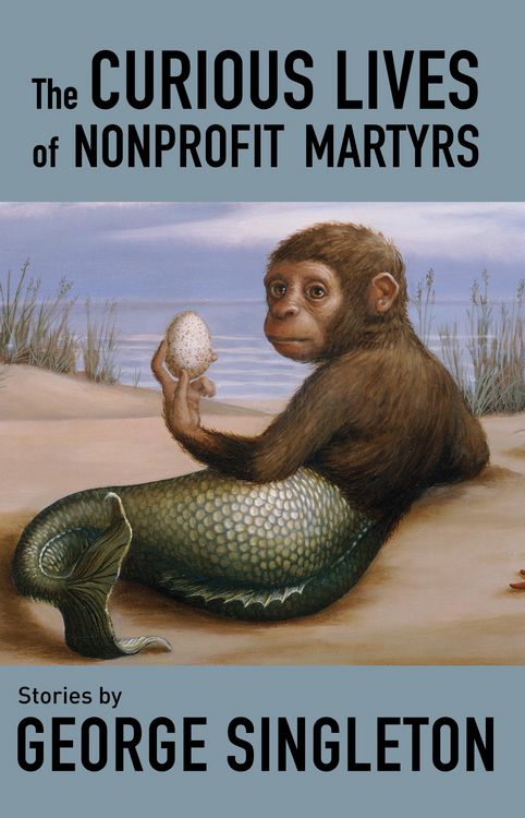 Produktbild: The Curious Lives of Nonprofit Martyrs