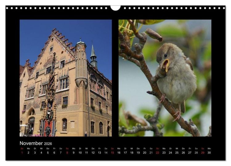 Produktbild: Ulmer Spatzen (Wandkalender 2026 DIN A3 quer), CALVENDO Monatskalender