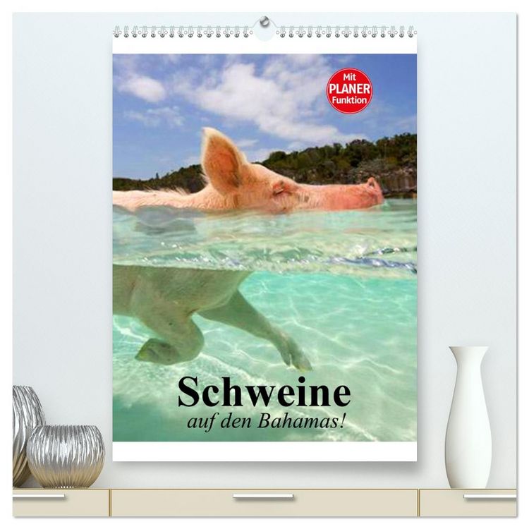 Produktbild: Schweine auf den Bahamas! (hochwertiger Premium Wandkalender 2026 DIN A2 hoch), Kunstdruck in Hochglanz