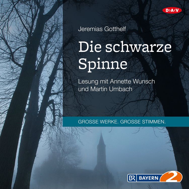 Produktbild: Die schwarze Spinne