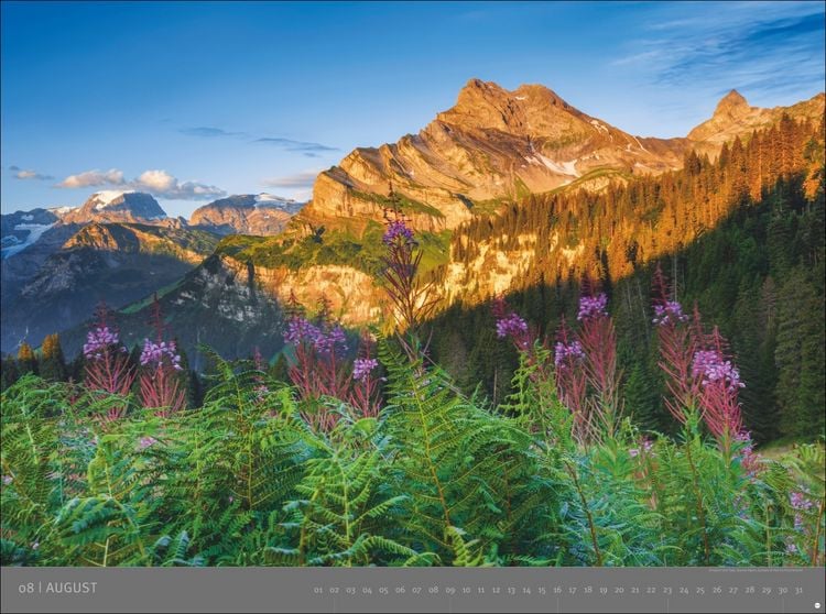 Produktbild: Alpen - Edition Alexander von Humboldt Kalender 2026
