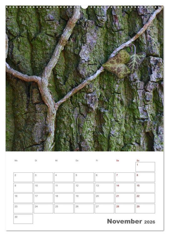 Produktbild: Planen mit dem Symbol der inneren St&auml;rke (Wandkalender 2026 DIN A2 hoch), CALVENDO Monatskalender