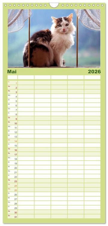 Produktbild: Familienplaner 2026 - Katzen mit 5 Spalten (Wandkalender, 21 x 45 cm) CALVENDO