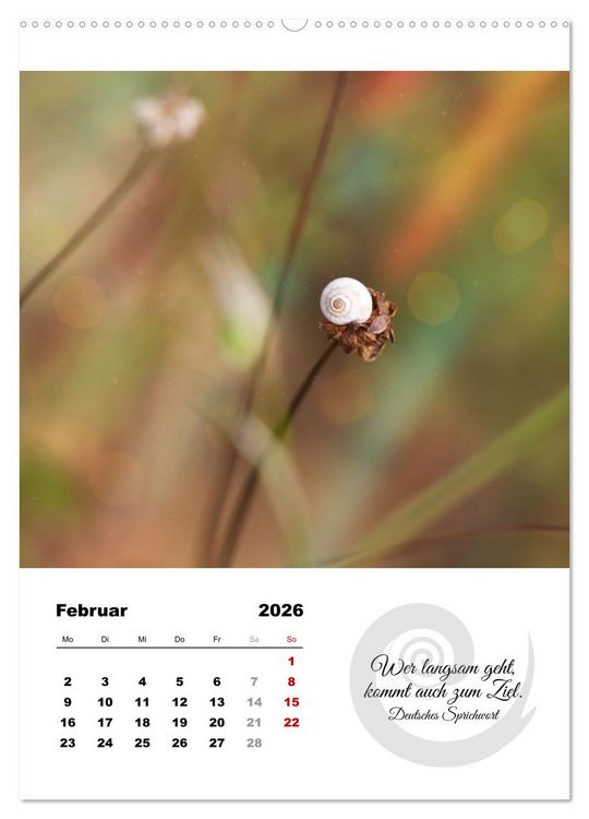 Produktbild: Schnecklein (Wandkalender 2026 DIN A2 hoch), CALVENDO Monatskalender
