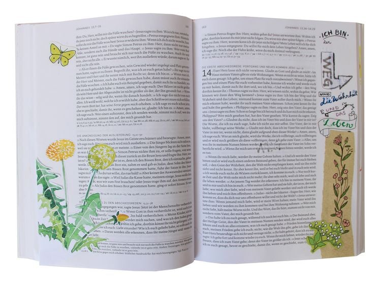 Produktbild: Neues Testament . Bibel kreativ