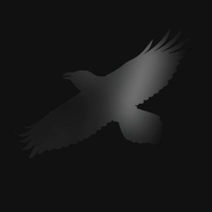 Produktbild: Odins Raven Magic
