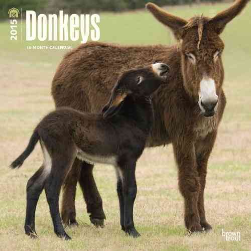 Produktbild: Donkeys 2015 - Esel