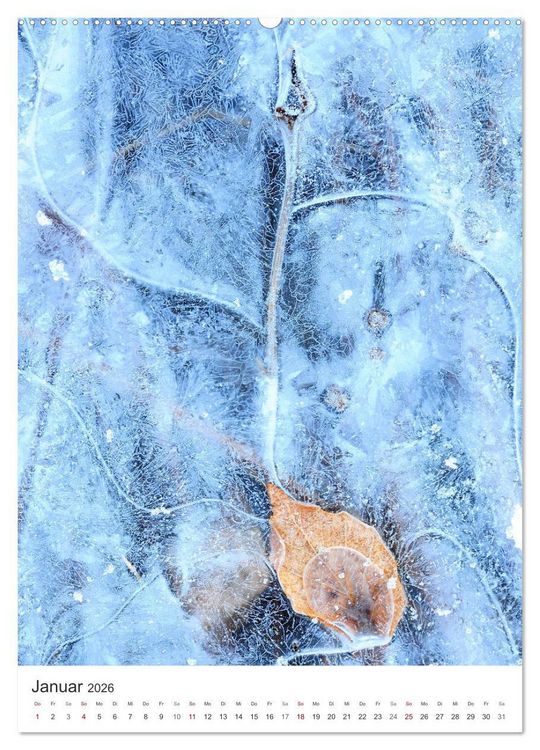 Produktbild: Strukturen - Steine, Eis, Pflanzen (hochwertiger Premium Wandkalender 2026 DIN A2 hoch), Kunstdruck in Hochglanz