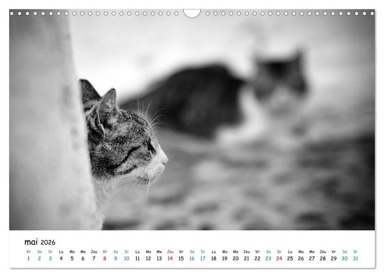 Produktbild: Chats de Santorin - Les princes d'Oia en noir et blanc (Calendrier mural 2026 DIN A3 vertical), CALVENDO calendrier mensuel