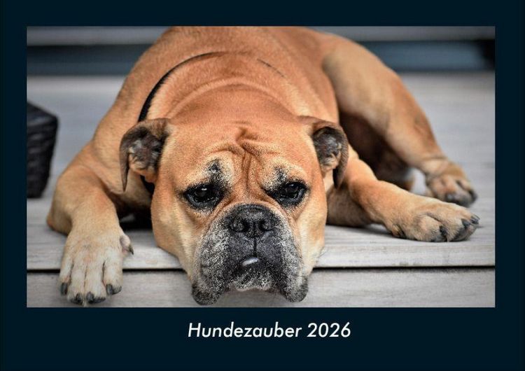 Produktbild: Hundezauber 2026 Fotokalender DIN A4