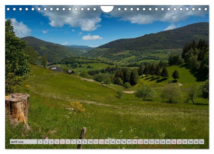 Produktbild: Splendeurs des Vosges (Calendrier mural 2026 DIN A4 vertical), CALVENDO calendrier mensuel