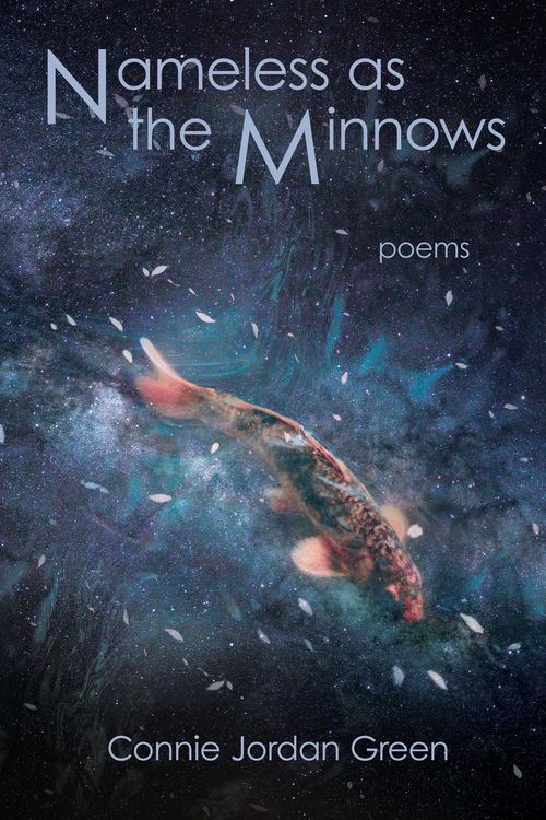 Produktbild: Nameless as the Minnows