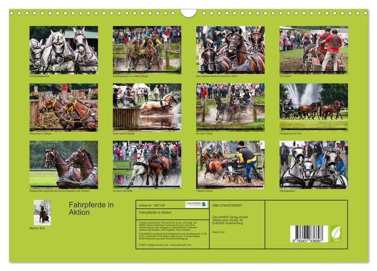 Produktbild: Fahrpferde in Aktion (Wandkalender 2026 DIN A3 quer), CALVENDO Monatskalender